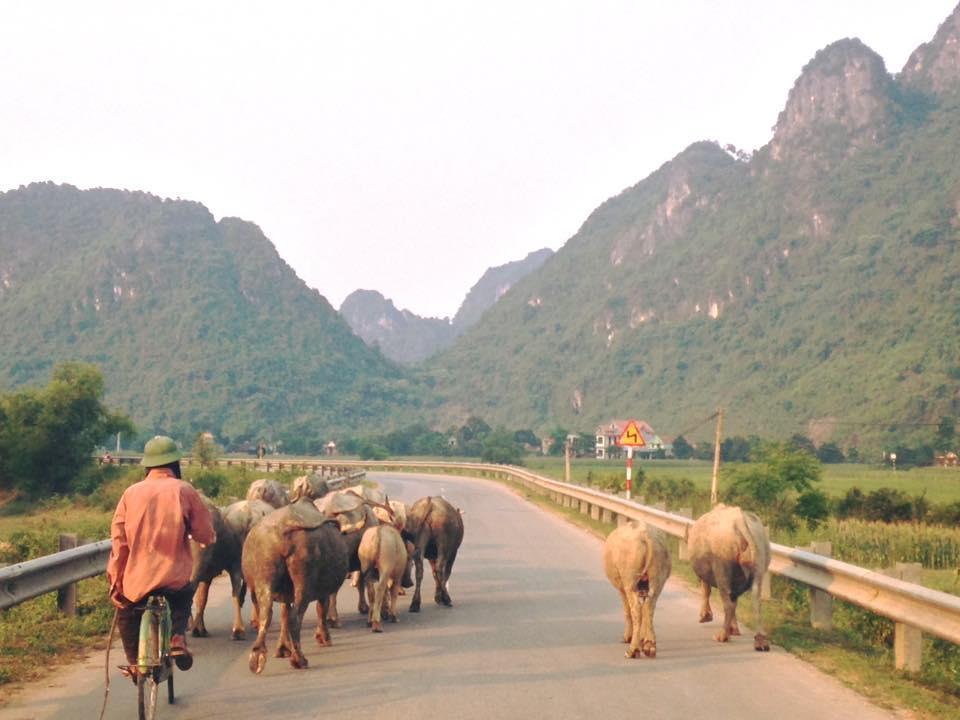 Phong Nha Midtown Hotel Cu Lac Dış mekan fotoğraf